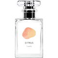 Citrus / シトラス von fuwally