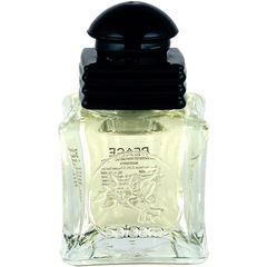 Salaam - Peace von Ahsan