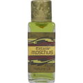 Extase Moschus / Extase Musk Woman (Perfume Oil)