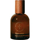 Puglia Ostuni (2024) / 풀리아 오스투니 von Youssoful