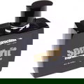 Spirit von Próchnik