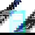 Adam by Astrid