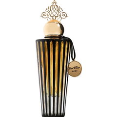 Oud Rose / عود روز von Ibraheem Al.Qurashi / إبراهيم القرشي