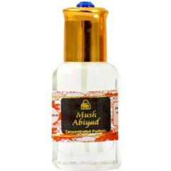 Frosted Coconut Snowball by Bath & Body Works