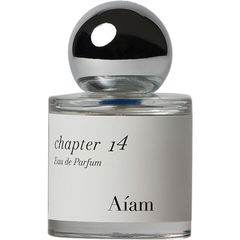 Chapter 14 / チャプター 14 by Aíam