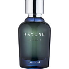 Saturn by Nicheend