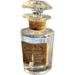 White Rose von Parfumerie Elegante
