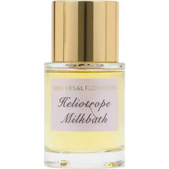 Heliotrope Milkbath von Universal Flowering
