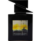 Declination in Yellow by Monia Biscioni