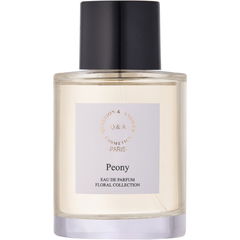 Peony von Q&A