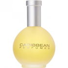 Le Bleu by Caribbean Perfumes