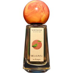Sielulintu von Sortilège