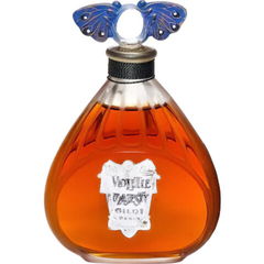 Violette Majesty von Gilot