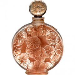 Chypre Ambre by Volnay