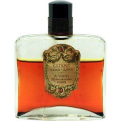 Ilang-Ilang by A. Virot