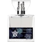 Fate/Grand Order Final Singularity Grand Temple of Time: Solomon - Ritsuka Fujimaru by primaniacs