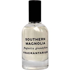 Southern Magnolia von Fragrantarium