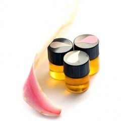 Magnolia Grove I von Phoenix Botanicals