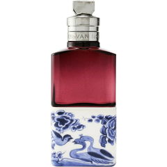 Soie Malaquais von Dries Van Noten