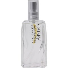 Shower Fresh - Ocean Citrus / シャワーフレッシュ オーシャンシトラス von Gatsby / ギャツビー