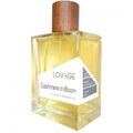 Cashmere in Bloom by Lovage