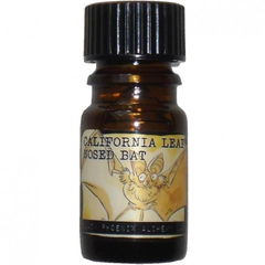 California Leaf-Nosed Bat by Black Phoenix Alchemy Lab