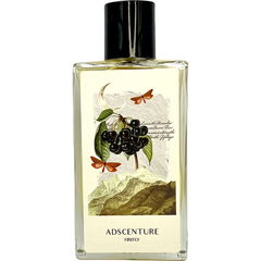 Firefly by Adscenture