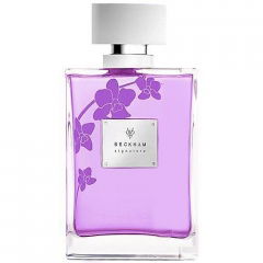 Signature Women by David Beckham