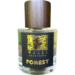 Forest - Coedwig by Wales Perfumery