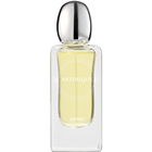 Jasmin Gyokuro by Artimíque