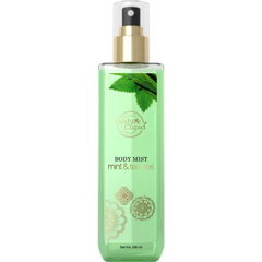 Mint & Tea Tree by Body Cupid