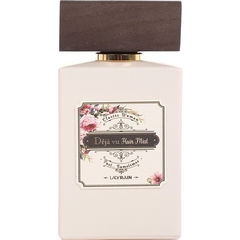 Déjà Vu (Hair Mist) by Lady Rain