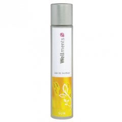 I love the Sun / Sun by Wellments