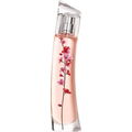 Flower Ikebana by Kenzo