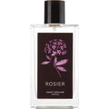 Rosier von Nancy Meiland