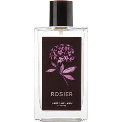 Rosier von Nancy Meiland