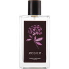 Rosier von Nancy Meiland