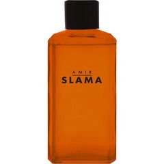 Amir Slama Raiz by Phebo