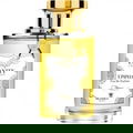 Vanity Collection - Epiphany by Bramble