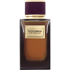 Velvet Passion Oud von Dolce & Gabbana