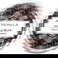Tonka Bean by Amygdala