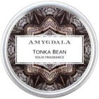 Tonka Bean by Amygdala