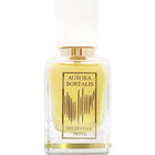 Polar Night / Полярная ночь by Aurora Borealis