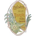 Edelweiss de la Tzarine von Victor Vaissier