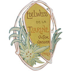 Edelweiss de la Tzarine von Victor Vaissier