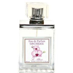 Orchidee von Le Blanc