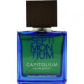 Septimontium - Capitolium by Mauro Lorenzi