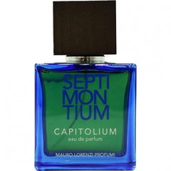 Septimontium - Capitolium von Mauro Lorenzi