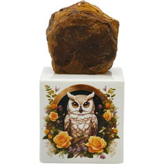 Revivact / ريفيفاكت von Shamal Luxury