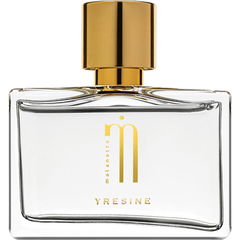 Yresine von Malanotte